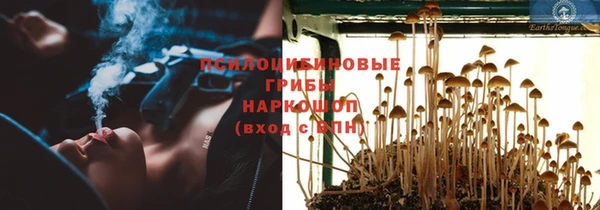 гидропоника Лагань