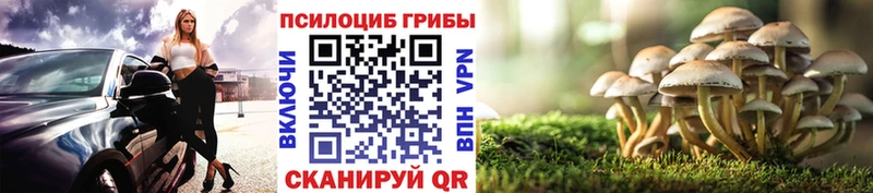 нарко площадка формула  Северск  Псилоцибиновые грибы мицелий 