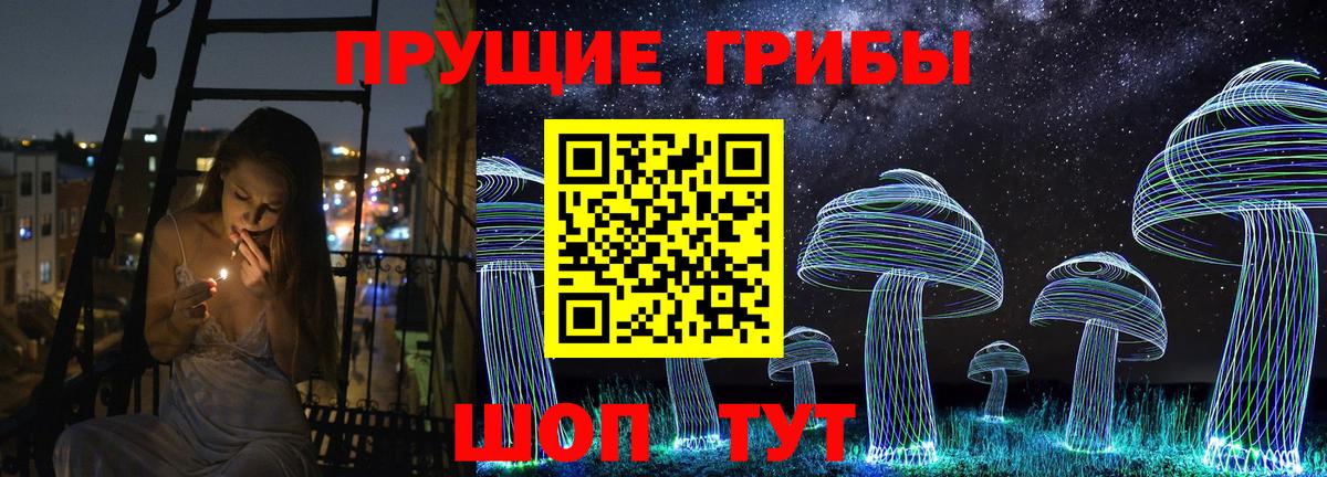 Северск  Псилоцибиновые грибы прущие грибы  Вход с VPN  Псилоцибиновые грибы Psilocybine cubensis 