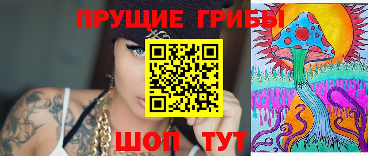 Галлюциногенные грибы прущие грибы Северск